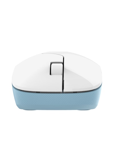 Everest SMW-973 USB 2.4 GHz Kablosuz Mouse