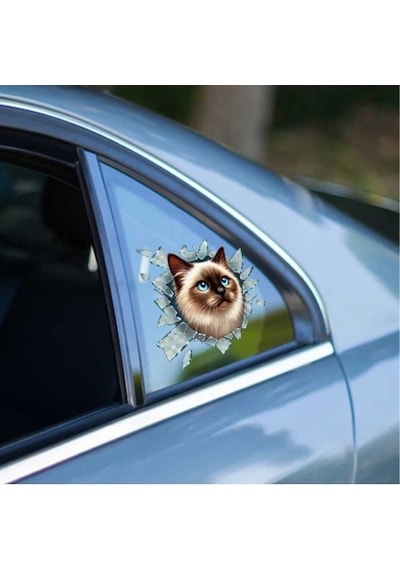 Fulcar Siamesse Araç Stickerı Standart