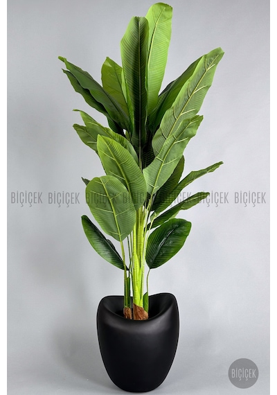 Biçiçek Yapay Muz Ağaci 210 Cm 4 Gövdeli̇ 21 Yaprak Mocha Lale Saksıda