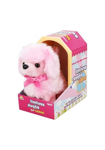 Sunman Sevimli Köpek Poodle.