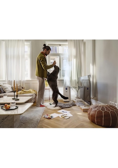 Karcher AF50 Hava Temizleme Makinesi