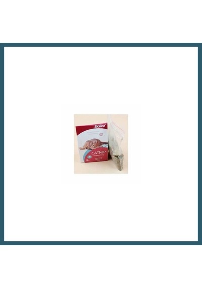 Bioline Catnip Kedi Otu 20 Gr Ob