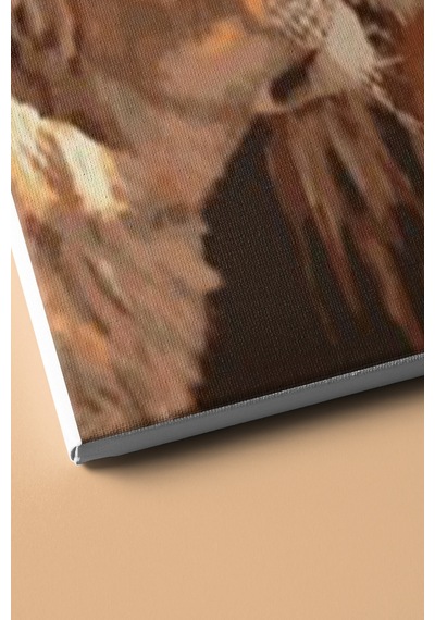 Webstyle Aslanların Aşkı Sayılarla Boyama Seti Kasnaklı 40x50 Cm