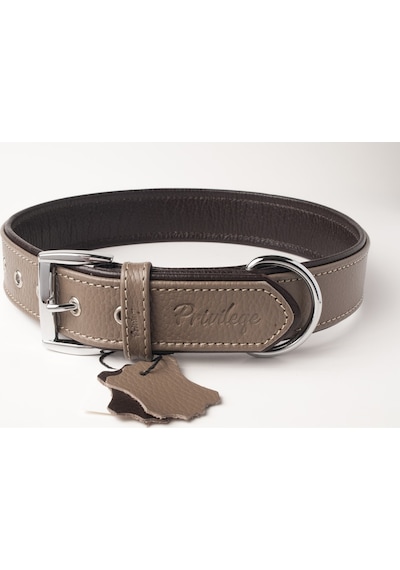 Flotter Hakiki Deri Köpek Boyun Tasması Xl Toprak Rengi Kahverengi 4x54-64 Cm Kahverengi