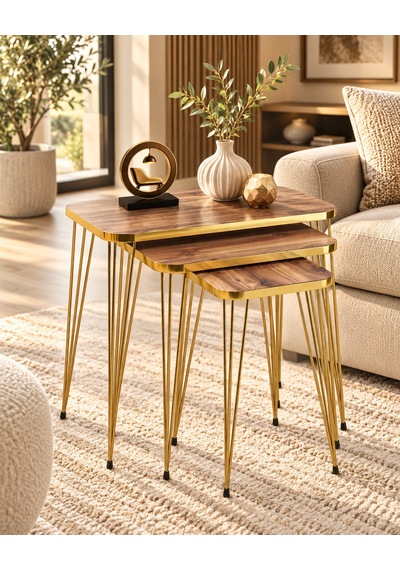 Odera Gold Ceviz Zigon Sehpa 3'lü Set Metal Tel Ayaklı Modern Retro Salon Sehpası Diğer