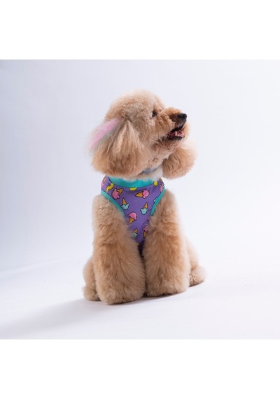 Ice Cream Tişört Kedi Köpek Tişörtü-kedi Köpek Kıyafeti