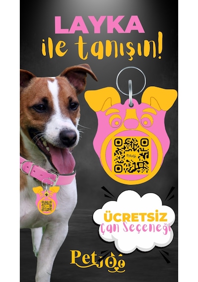 Petjoo 22.Layka Sarı-Pembe Qr'lı Köpek Künyesi