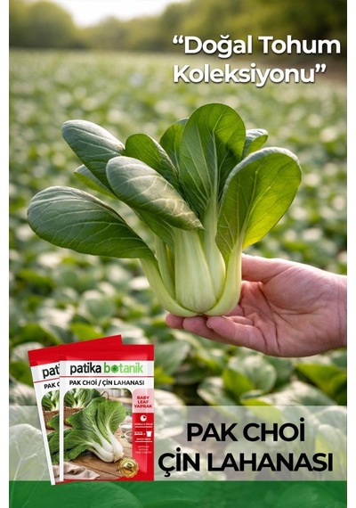 100 Adet Pak Choi / Çin Lahanası Tohumu