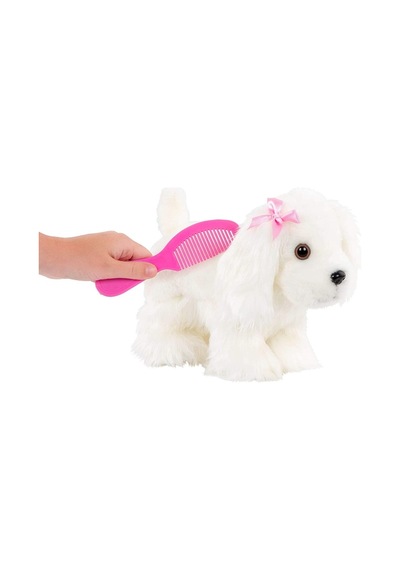 Pucci Pups Maltese Ve Tarak