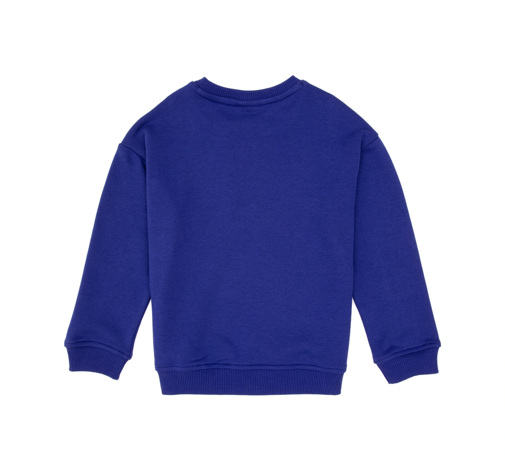 U.S. Polo Assn. Erkek Çocuk Mor Bisiklet Yaka Basic Sweatshirt 50313829-VR038