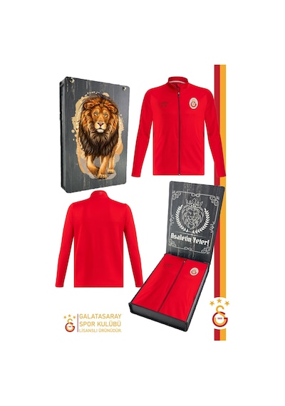 Galatasaray Fermuarlı Dik Yaka Antrenman Sweat Kutulu 001