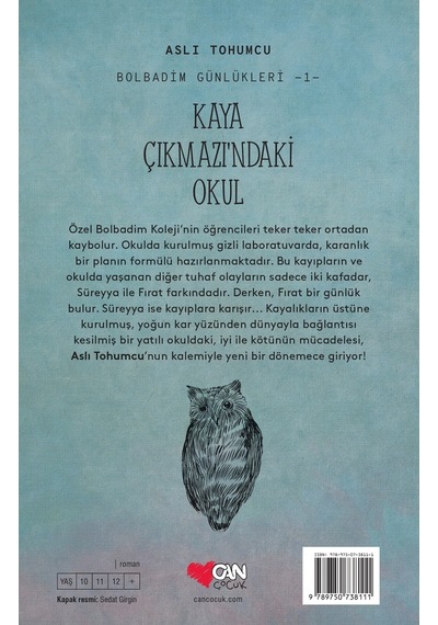 Kaya Çıkmazı'Ndaki Okul
