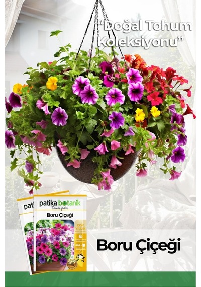 100 Adet Boru/Petunya Çiçek Tohumu (Petunia)