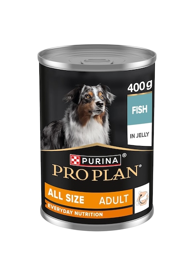 Yetişkin Köpekler İçin Balıklı Konserve Yaş Mama 400 Gram