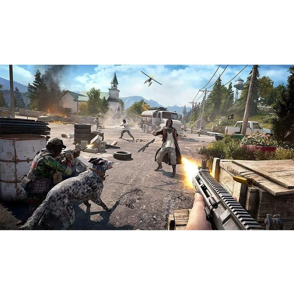 Far Cry 5 Playstation 4 Oyun Cd