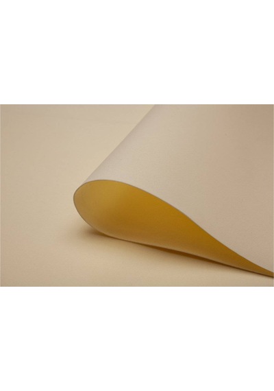Lino Eva 50X70 Cm.Ten Rengi 2Mm. 10Lu Paket