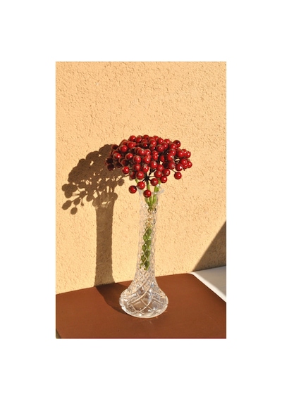 1 Adet Cam Vazo Karanfil 25 Cm Dekorasyon Vazosu Çiçeksiz Şeffaf