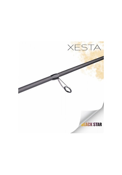 Black Star Extra Tuned S82mhx-s Kamış 2.50m 1-28g 2p 1