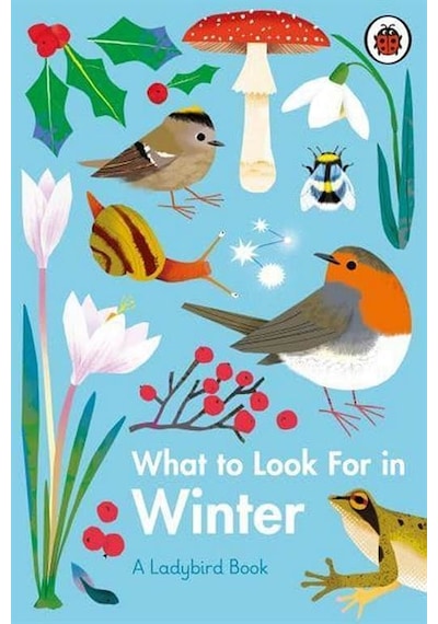 What to Look For in Winter 9780241416228