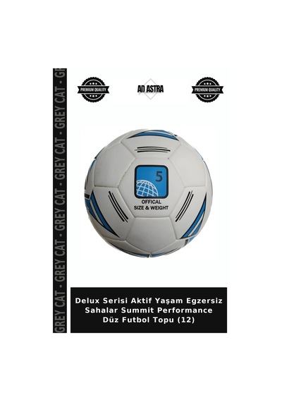 Delux Serisi Aktif Yaşam Egzersiz Sahalar Summit Performance Düz Futbol Topu 12 Çok Renkli