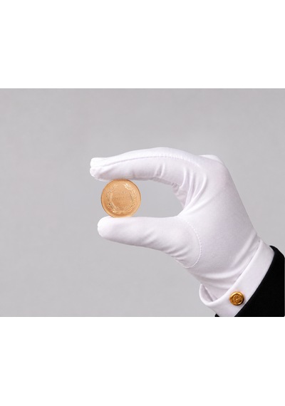 Yeni Tarihli Ata Lira Altın