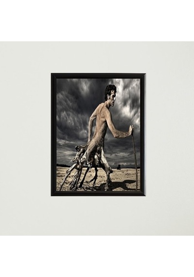 Çerçeveli Poster Tablo T1323