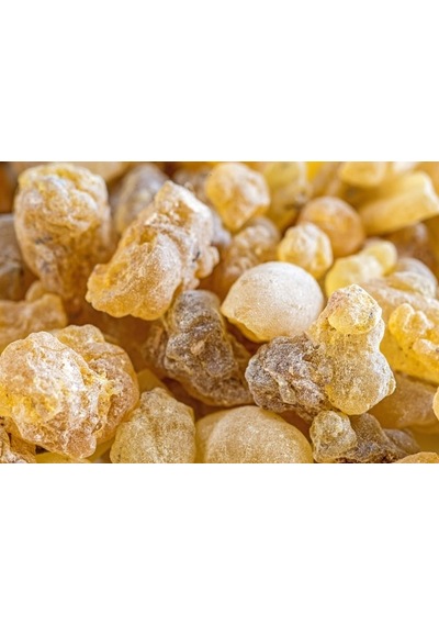 Günlük Sakızı 1. Kalite 150 G