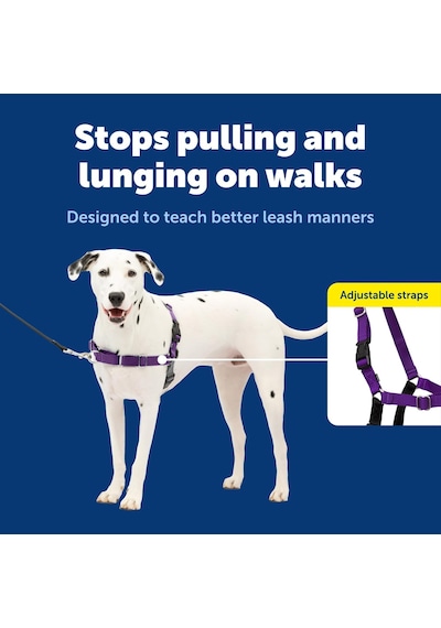 Tr Easy Walk Köpek Koşum Takımı Genel
