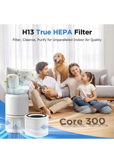 Core 300 Yedek Filtre Levoıt Core 300 Ve Core 300s Hava Temizleyici, 3'ü 1 Arada H13 Gerçek Hepa Ve Aktif Karbon Deği Diğer