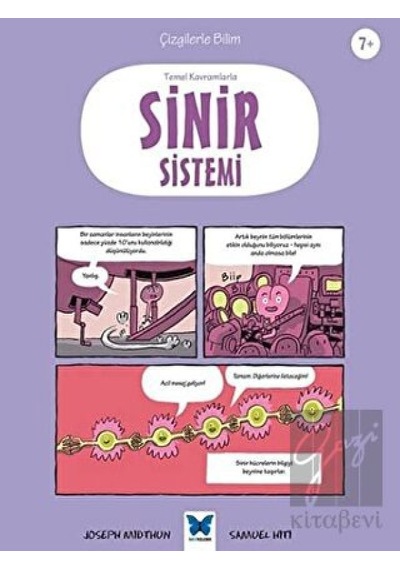 Mavi Kelebek Yayınları - Temel Kavramlarla Sinir Sistemi