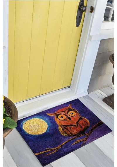 Tr Baykuş Kapı Önü Paspası Dekoratif Kapı Paspası Dış Mekân Paspas Ev İçi Paspası 45x70cm Diğer