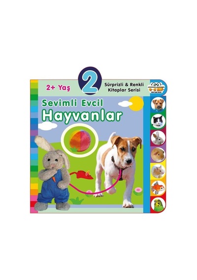 2+ Yaş Sevimli Evcil Hayvanlar - Sürprizli ve Renkli Kitaplar Serisi