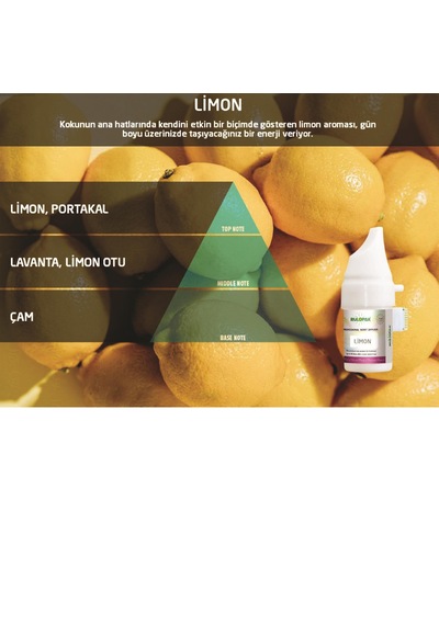 200558 Rulopak 499 Limon Koku Kartuşu