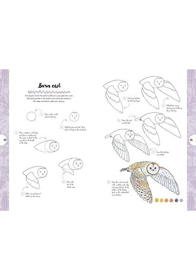 10:: Draw 60 Plants & Animals İn 10 Easy Steps