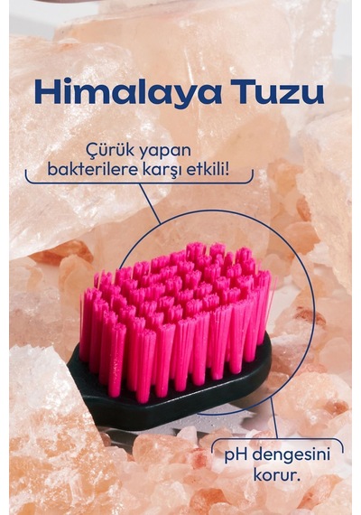 Probiwhite Himalaya Tuzlu Doğal Vegan Diş Fırçası El Yapımı Stant Hediye