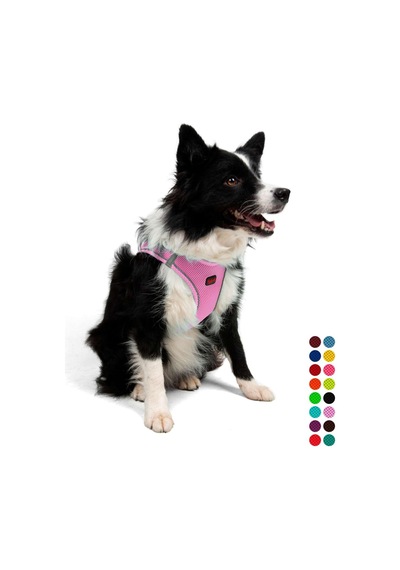Tailpetz Air-mesh Küçük Ve Orta Irk Kedi Köpek Göğüs Tasması - Yumuşak, Nefes Alabilir, Dayanıklı Lila, Xl Sku: Zeusb0cz1mvbrt Açık Bej - Bej