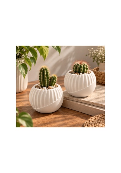 2 Li Kaktüs Saksısı Beyaz Dekoratif Mini Saksı Sukulent Ve Kaktüs Saksısı 8 Cm Beyaz - 921521534 Beyaz - 921521534