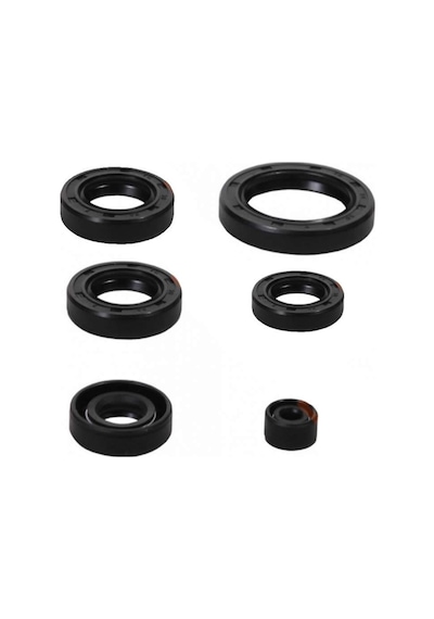 Cg Keçe Takımı 6Lı Set