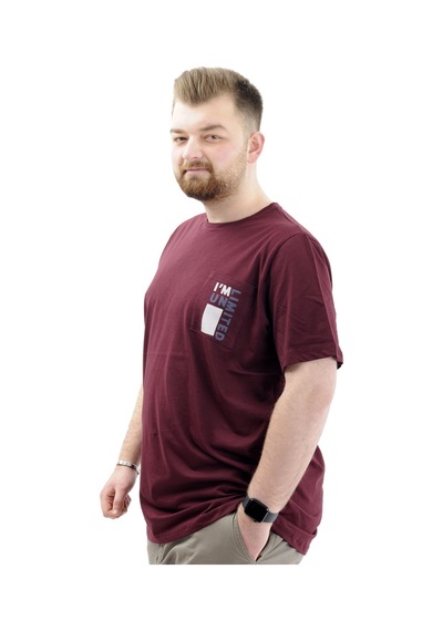 Mode Xl Erkek Büyük Beden T-shirt Pamuklu Baskılı Bisiklet Yaka Tişört Lımıted U24052 Mürdüm Mürdüm