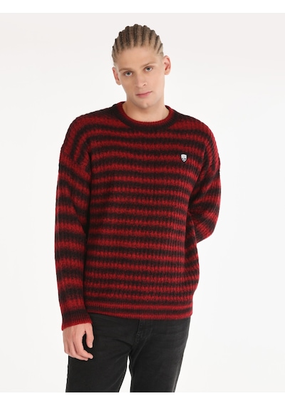 Colin's Colins Regular Fit Bisiklet Yaka Triko Mor Erkek Kazak Cl1065907 Mor