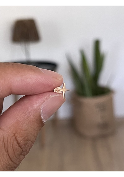 316 L Cerrahi Çelik Tragus Helix Kıkırdak Conch Minimal Kutup Yıldızı Piercing Altın - Beyaz - Siyah