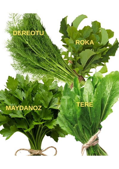 Yeşillik Tohumları Maydanoz, Tere, Roka, Dereotu 20 Gr.' Lık Paketlerde 20 Gr.