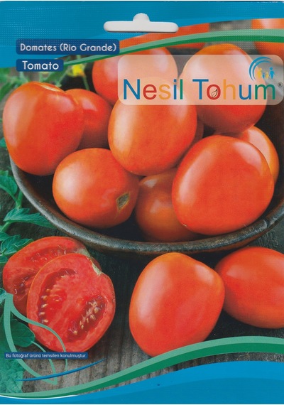 NesilRio GRande Domates Tohumu 3 GR