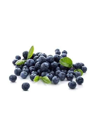 Yaban Mersini Tohumu Blueberry Tohumu Yetiştirme Kiti