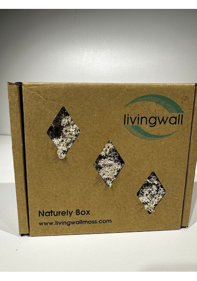 Reindermoss Şoklanmış Norveç Yosunu Terarium Yosunu Natural Green 100 Gr.