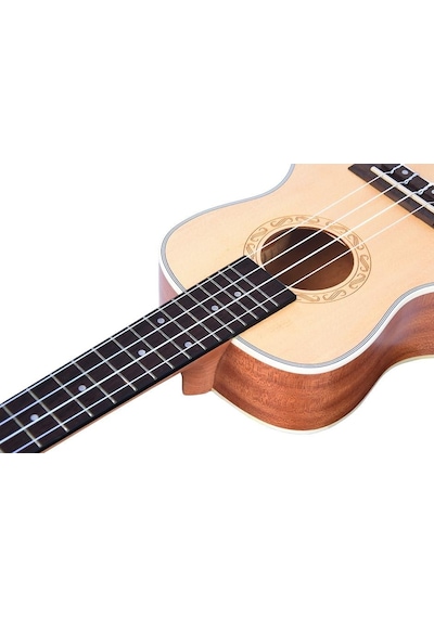 Tayste Tuk210-24 Concert Ukulele