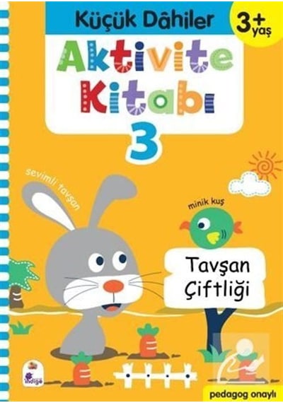 Aktivite Kitabı 3 - Küçük Dahiler 3+Yaş- İndigo Çocuk