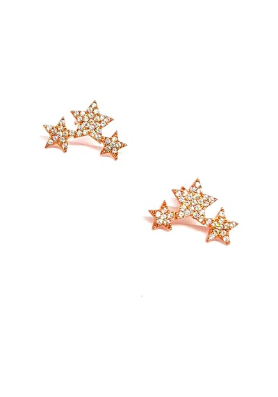 Zirkon Taşlı Gümüş Üzerine Rose Altın Kaplama Kıkırdak Küpesi N11.99829