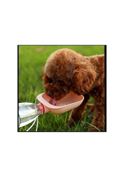 Nachang Taşınabilir Pet Su Kasesi - Dayanıklı Plastik, Ergonomik Kolu & Spout Köpekler Ve Kediler