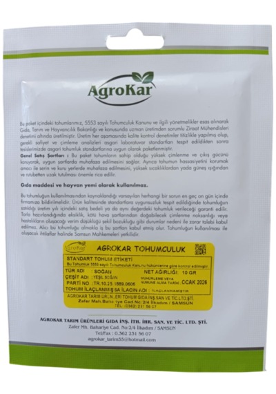 Yeşil Soğan Tohumu 10 Gr 1 Paket